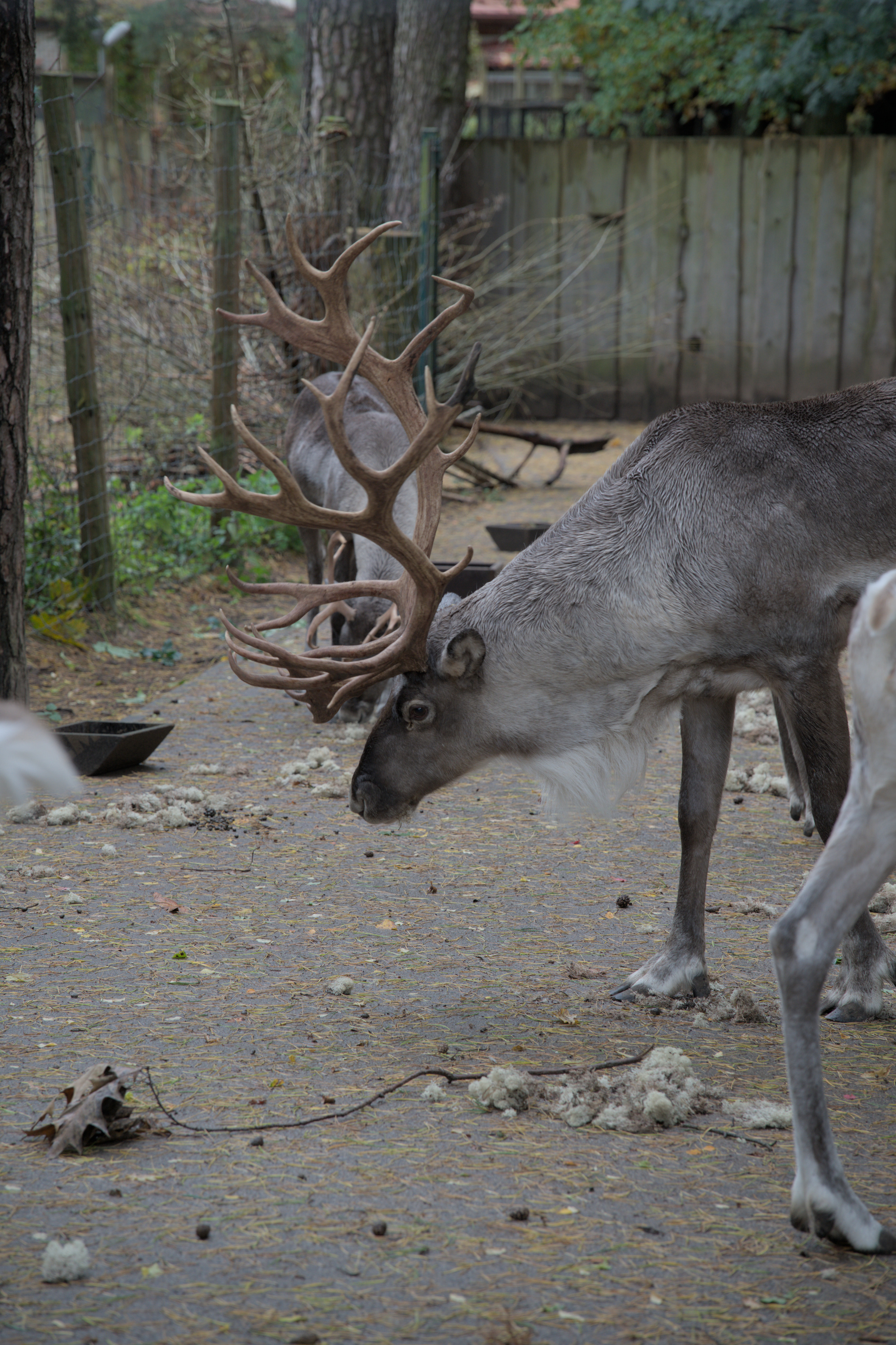 2025/10/12 - zoo/DSC_0075.jpg